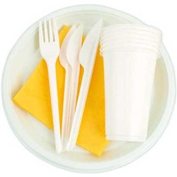 Набор однораз. посуды для отдыха "Классик" 6 комплектов Подробнее