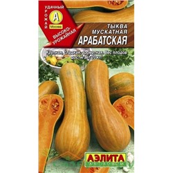 Тыква Арабатская мускатная Аэлита