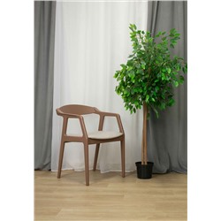 Стул SHT-S202
                        светлый беж / коричневый