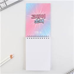 Скетчбук А6, 40 л. 100 г/м «Аниме»
