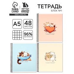 Тетрадь в клетку, 48 л., А5, на спирали, блок №1 «Аниме котики» МИКС