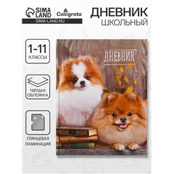 Дневник школьный для 1-11 классов, «Шпиц», твёрдая обложка 7БЦ, глянцевая ламинация, 40 листов