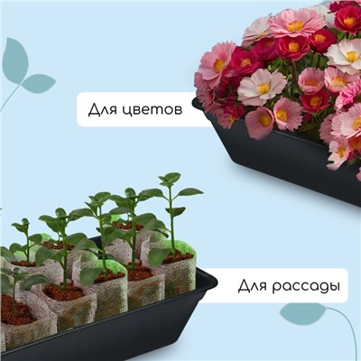 Ящик для рассады, 50×20×10 см, 6 л, пластик, цвет МИКС, «Урожай-3 м»