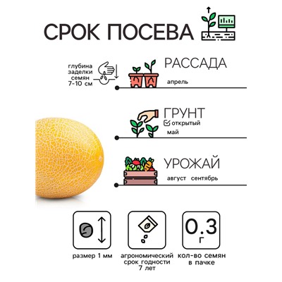 Семена Дыня "Колхозница 749/753", 0,3 г