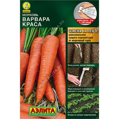 0231 Морковь Варвара краса 8м