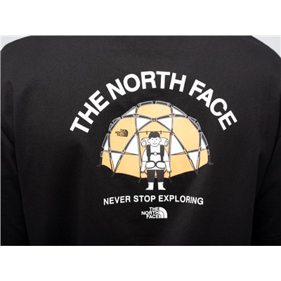 Футболка The North Face