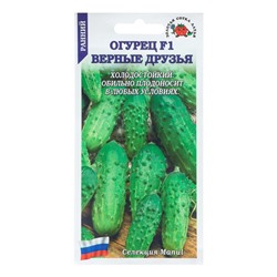 Семена Огурец "Верные друзья F1", раннеспелый, 0,15 г