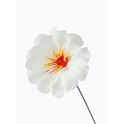 Цветы искусственные «Одиночка криспа», h=20 см, d=11 см, белые