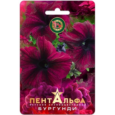 Петуния Пентальфа F1 Бургунди