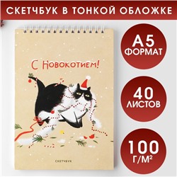 Скетчбук А5, 40 листов, в мягкой обложке, на гребне, 100 г/м² «С Новокотием!»