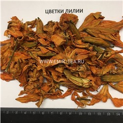 Апельсин сушеный (код 0164)