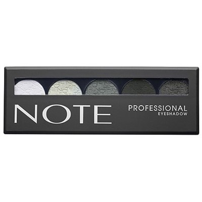 NOTE Тени PROFESSIONAL палетка 105