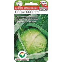 Семена Капуста белокочанная Профессор F1, арт.: 6855