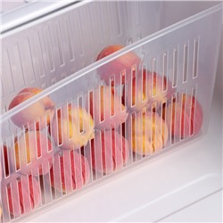 Контейнер для холодильника, 24.5×9.5×14 см