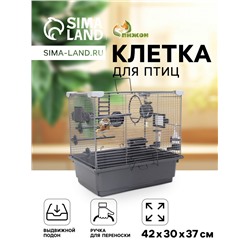 Клетка для птиц "Пижон" №100, разборная, 42 х 30 х 37см (укомплект.) серая