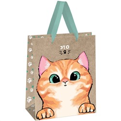 Пакет подарочный 18*23*10см MESHU "Kitten" крафт MS_61630/12/Китай