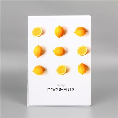 Папка для семейных документов Docs, 8 файлов А4