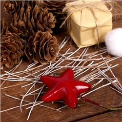 Новогодний декор «Незабываемый праздник», размер шишек: 1.5×2 см