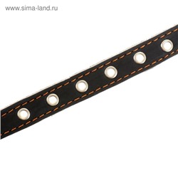 Ошейник кожаный однослойный безразмерный, 45×2 см, ОШ 18-39 см, синий