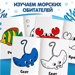 Раскраска "Морские животные", 16 стр.