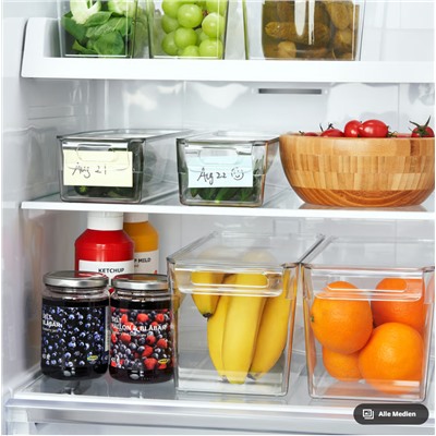 KLIPPKAKTUS Aufbewahrungsbox für Kühlschrank, transparent, 32x14x14 cm