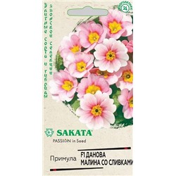 Семена Примула Данова малина со сливками F1, арт.: 11979
