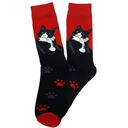 28814 В мире животных | Носки "Кошка и лапки", р-р 38-44 (черный/красный)