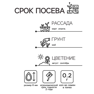 Семена Астра "Принцесса смесь", 0,2 г