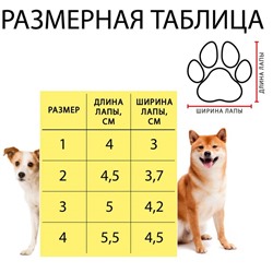 Ботинки Элеганс, набор 4 шт, размер 2 (подошва 4,5 х 3,7 см) коричневые