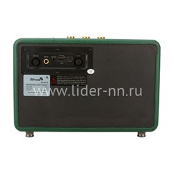 Колонка  ELTRONIC MONSTER BOX  850 (30-15) TWS (зеленый)