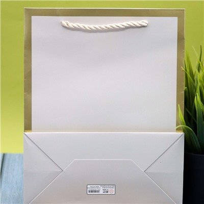 Пакет подарочный (S) «Classic line», white (24.5*19.5*9.5)