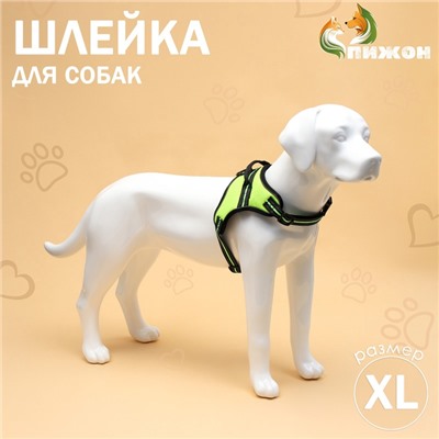 Шлейка улучшенная К7 мягкая светоотражающая, размер XL, ОГ 74-92 см, вес 28-47.5 кг, зелёная