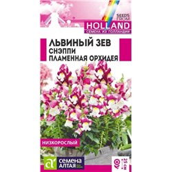Семена Львиный зев Снэппи Пламенная орхидея, арт.: 16204