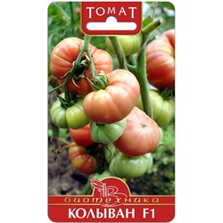 Томат Колыван F1