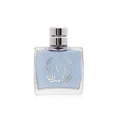 DILIS VIVAT men 100 мл edt