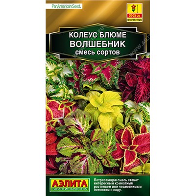 1349 Колеус блюме Волшебник, смесь сортов 10шт
