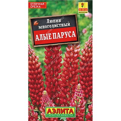 1414 Люпин Алые паруса многолетний 0,5гр