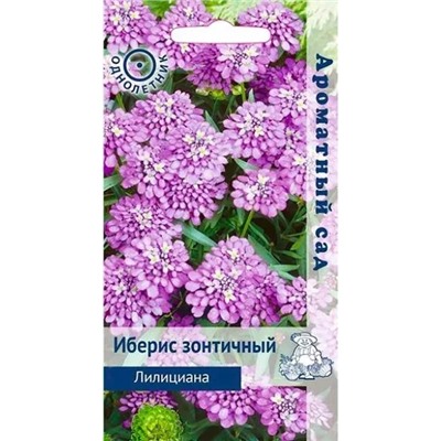 Иберис зонтичный Лилициана (ЦВ) (Ароматный сад"1) 0,3гр, арт.: 70601
