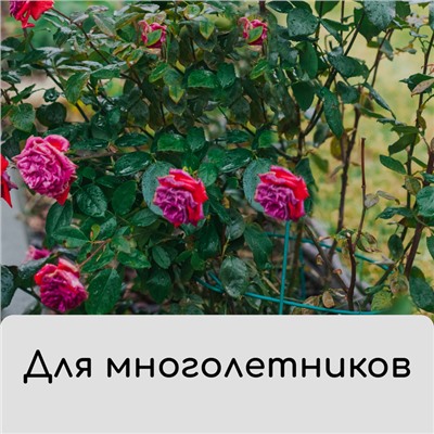 Чехол для растений, трапеция на шнурках, 75×70 см, спанбонд с УФ-стабилизатором, плотность 60 г/м²