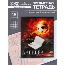 Тетрадь предметная 48 листов в клетку Calligrata, «Футбол. Алгебра», обложка мелованный картон
