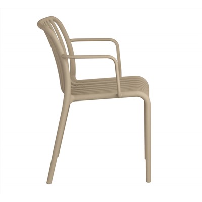 Стул SHT-S173-1
                        капучино ral 1019