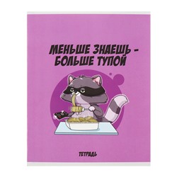 Комплект тетрадей из 5 штук, 48 листов в клетку Calligrata "Дерзкий енот", обложка мелованный картон, блок офсет