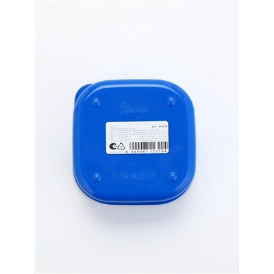 Ланч - бокс новогодний «Зима время мечтать», 700 мл