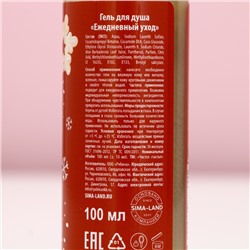 Подарочный набор новогодний женский «Тепла и Уюта»: гель для душа и пена для ванны, 2×100 мл, Чистое счастье