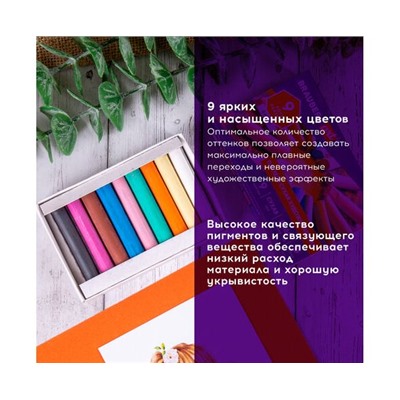 Пастель сухая художественная BRAUBERG ART DEBUT, 9 цветов, круглое сечение, 181459