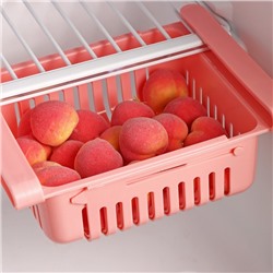 Полка подвесная в холодильник раздвижная Доляна, 20(28)×16.2×7.5 см, МИКС