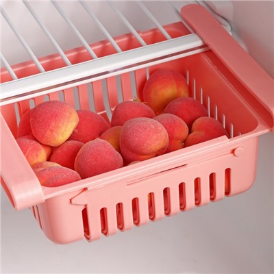 Полка подвесная в холодильник раздвижная Доляна, 20(28)×16.2×7.5 см, МИКС