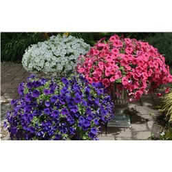 Набор супертуний №2