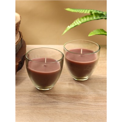 Свечи ароматические SCENTED CANDLE, 2×85 г, набор 2 шт., сидр, шалфей