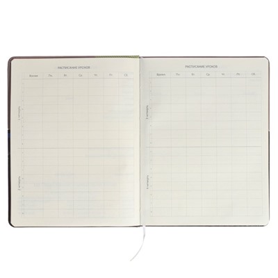 Дневник универсальный 1-11 класса Neon, твёрдая обложка, искусственная кожа, цветной срез, шелкография, ляссе, блок 80 г/м2